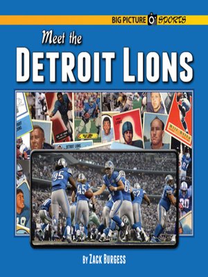 cover image of Meet the Detroit Lions